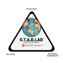 The Systems for Trauma and Blood Research Lab in the Harvard Program for Global Surgery and Social Change